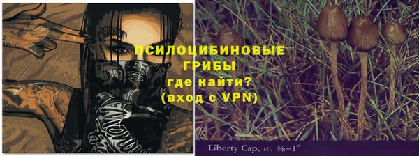 ALPHA PVP Алзамай