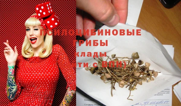 ALPHA PVP Алзамай
