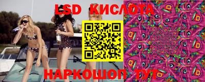 прущие грибы Тара