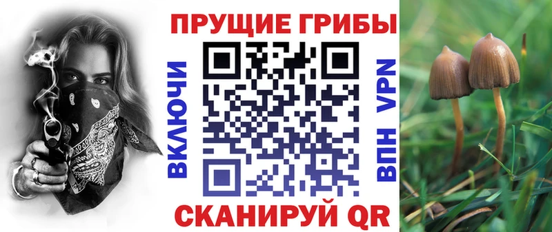 Псилоцибиновые грибы MAGIC MUSHROOMS  Павлово 