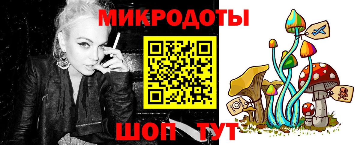 Павлово  Галлюциногенные грибы GOLDEN TEACHER  Вход с VPN  Псилоцибиновые грибы GOLDEN TEACHER 